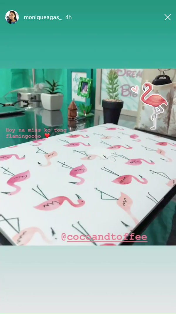 Flamingos MacBook Skin - Coco and Toffee